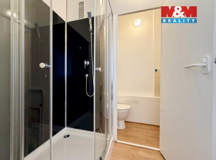 Pronájem bytu, 1+1, 35 m²