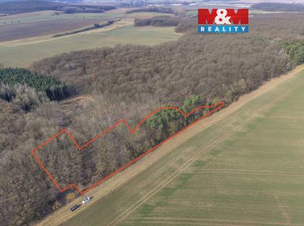 Prodej pozemku, les, 6 169 m²