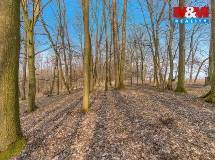 Prodej pozemku, les, 6 169 m²