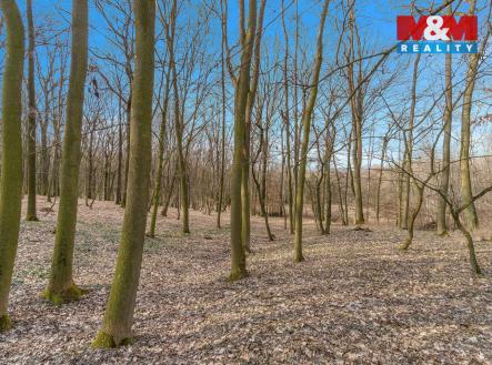 Prodej pozemku, les, 6 169 m²