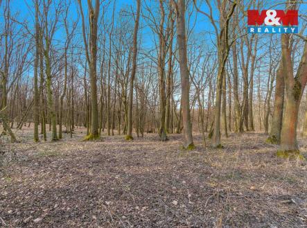 Prodej pozemku, les, 6 169 m²