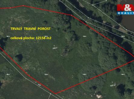 Prodej pozemku, zemědělská půda, 12 158 m²