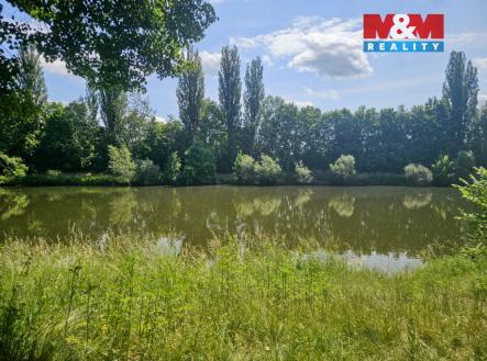 Prodej pozemku, trvalý travní porost, 7 544 m²