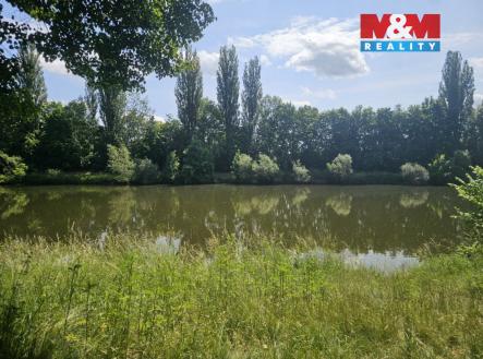 Prodej pozemku, trvalý travní porost, 7 544 m²