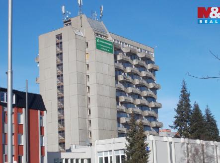 Pronájem bytu, 1+kk, 20 m²