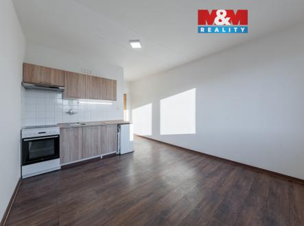 Pronájem bytu, 1+kk, 20 m²