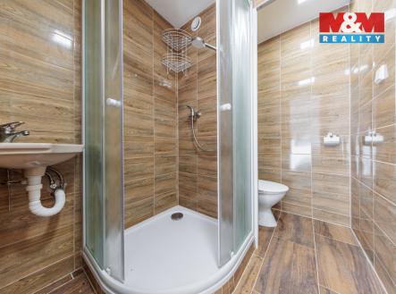 Pronájem bytu, 1+kk, 20 m²