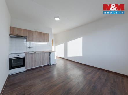 Pronájem bytu, 1+kk, 20 m²