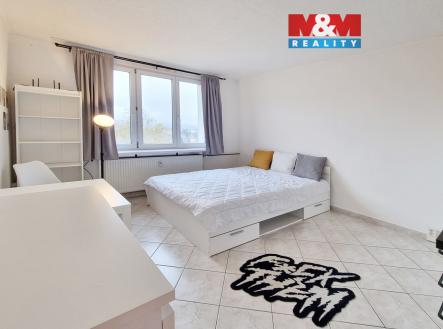 Pronájem bytu, 1+kk, 20 m²