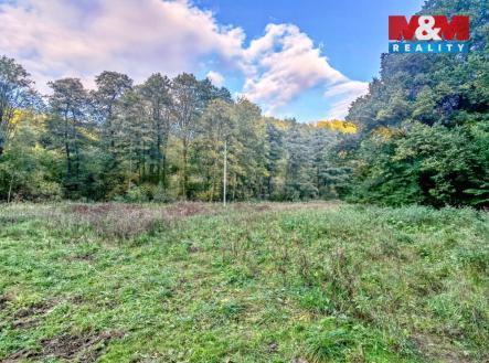 Prodej pozemku, trvalý travní porost, 2 421 m²