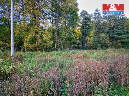 Prodej pozemku, trvalý travní porost, 2 421 m²