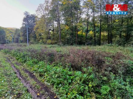 Prodej pozemku, trvalý travní porost, 2 421 m²