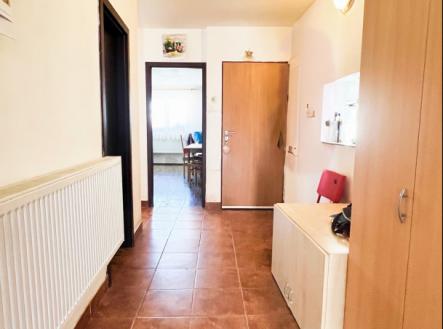 Prodej domu/vily, 242 m²