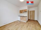 Pronájem bytu, 1+kk, 15 m²