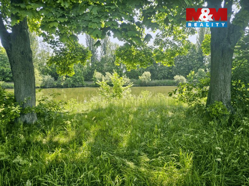 20250604_112003 (2).jpg