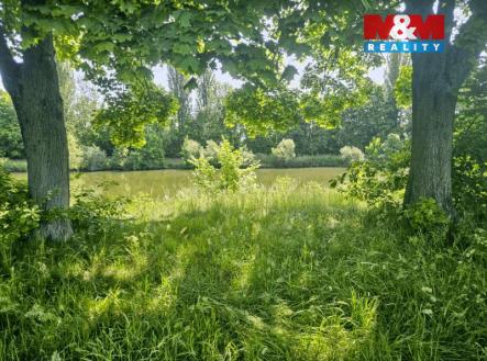 Prodej pozemku, trvalý travní porost, 7 544 m²