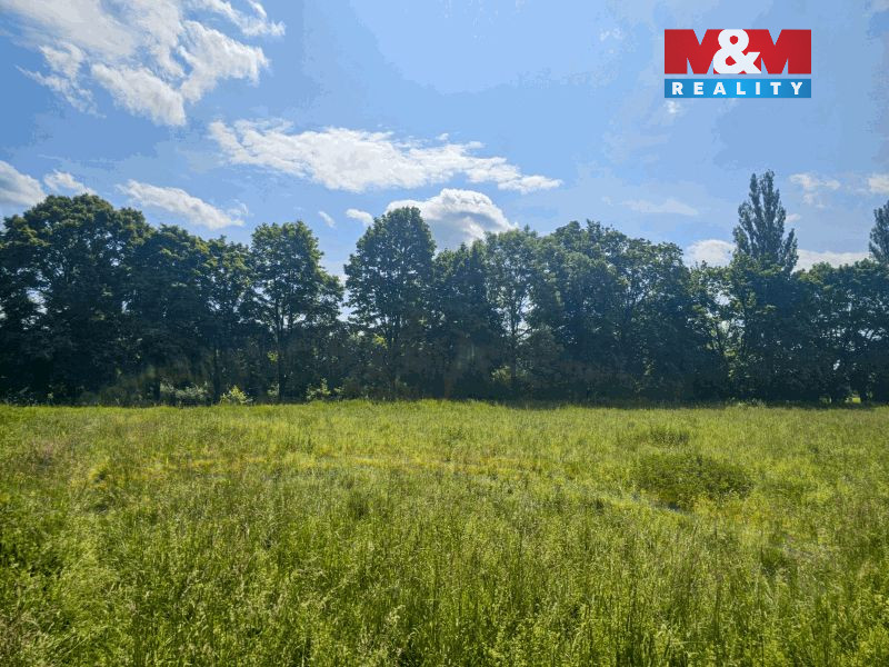 20250604_111908 (2).jpg