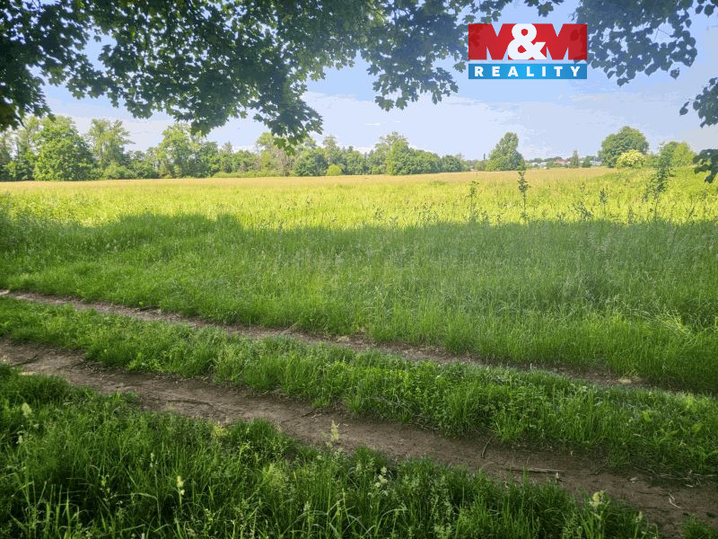 20250604_112118 (1).jpg