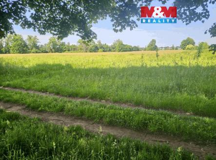 Prodej pozemku, trvalý travní porost, 1 000 m²