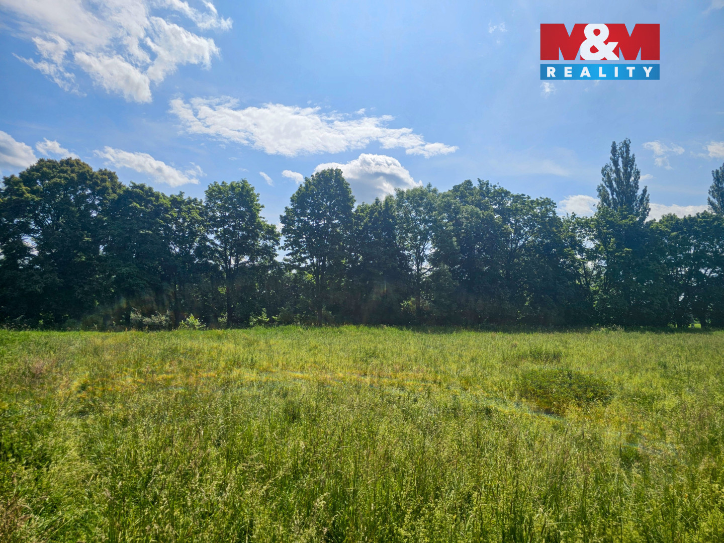 20250604_111908 (1) (1).jpg