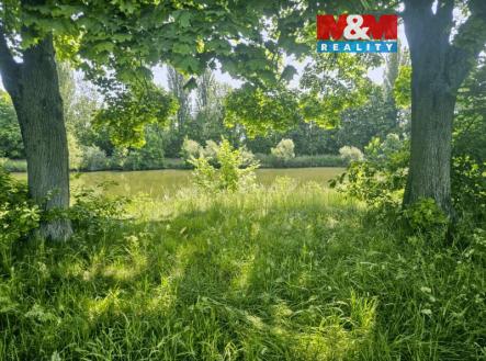 Prodej pozemku, trvalý travní porost, 1 000 m²