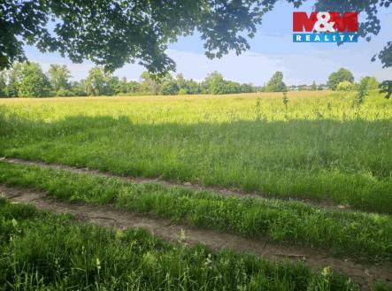 Prodej pozemku, trvalý travní porost, 1 000 m²
