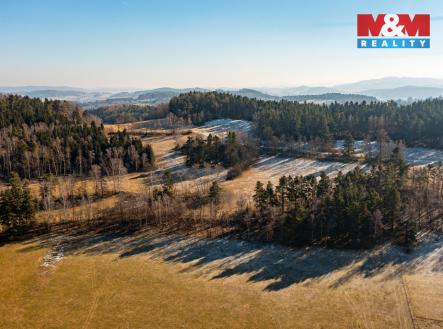 Prodej pozemku, les, 7 155 m²