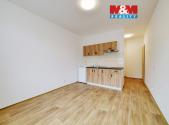 Pronájem bytu, 1+kk, 20 m²