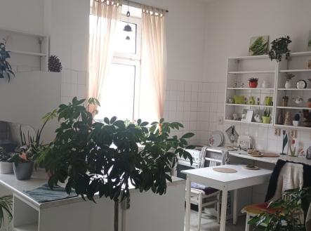 Pronájem obchodní prostor, 270 m²