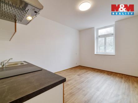 Pronájem bytu, 1+kk, 20 m²