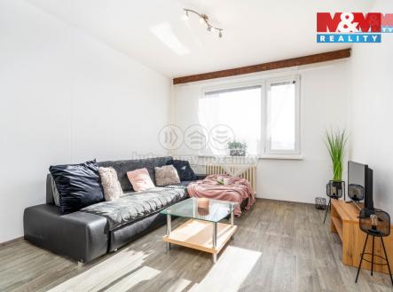 Pronájem bytu, 1+1, 41 m²