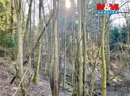 Prodej pozemku, les, 4 113 m²