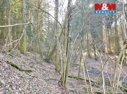 Prodej pozemku, les, 4 113 m²