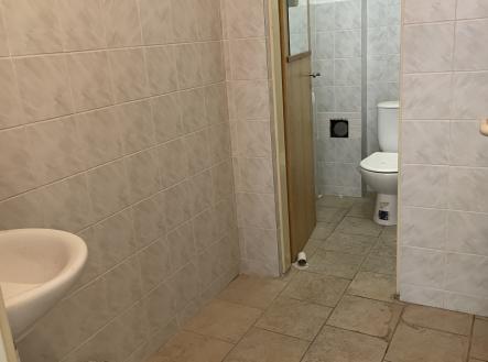 Pronájem obchodní prostor, 48 m²