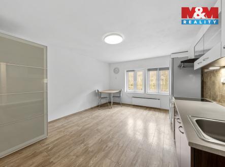 Prodej bytu, 1+kk, 25 m²