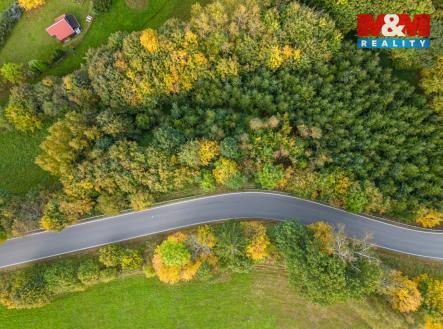 Prodej pozemku, les, 467 m²