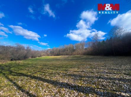 Prodej pozemku, trvalý travní porost, 8 056 m²