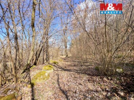 Prodej pozemku, trvalý travní porost, 8 056 m²