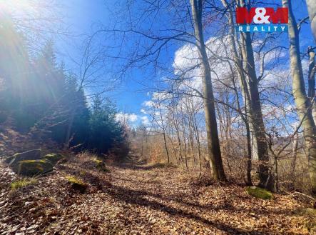 Prodej pozemku, trvalý travní porost, 8 056 m²