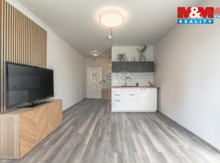 Prodej bytu, 1+kk, 25 m²