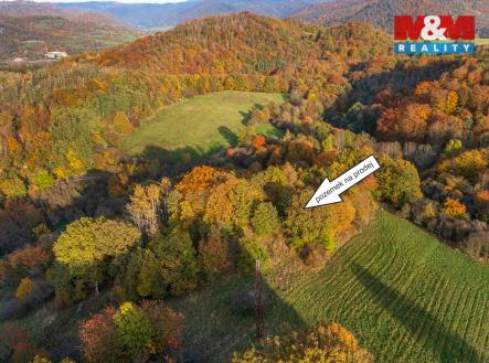 Prodej pozemku, trvalý travní porost, 14 398 m²