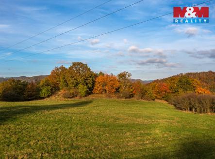 Prodej pozemku, trvalý travní porost, 14 398 m²