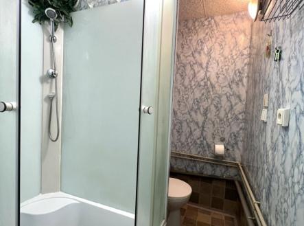 Pronájem bytu, 2+1, 43 m²