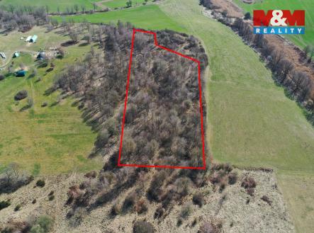 Prodej pozemku, les, 20 042 m²