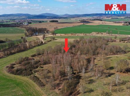 Prodej pozemku, les, 20 042 m²