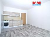 Pronájem bytu, 1+kk, 25 m²