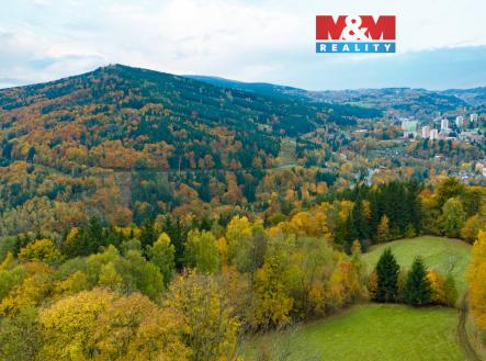 Prodej pozemku, trvalý travní porost, 1 589 m²