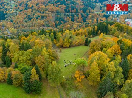 Prodej pozemku, trvalý travní porost, 1 589 m²