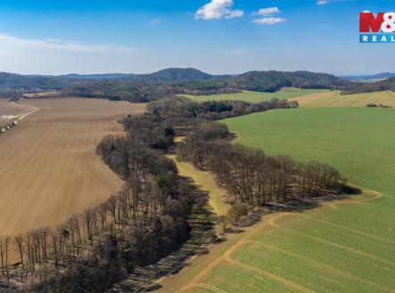 Prodej pozemku, trvalý travní porost, 12 761 m²