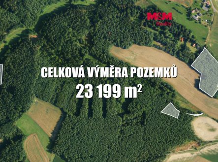 Prodej lesa, 23199 m², Všelibice